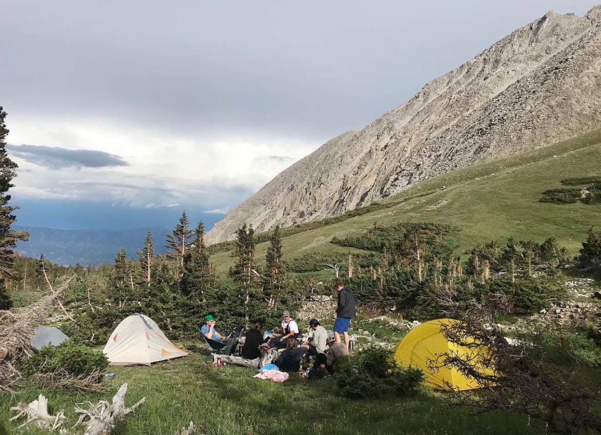 Browns Creek (South) Dispersed Camping