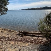 Review photo of Dreher Island State Park Campground by angela S., November 29, 2021