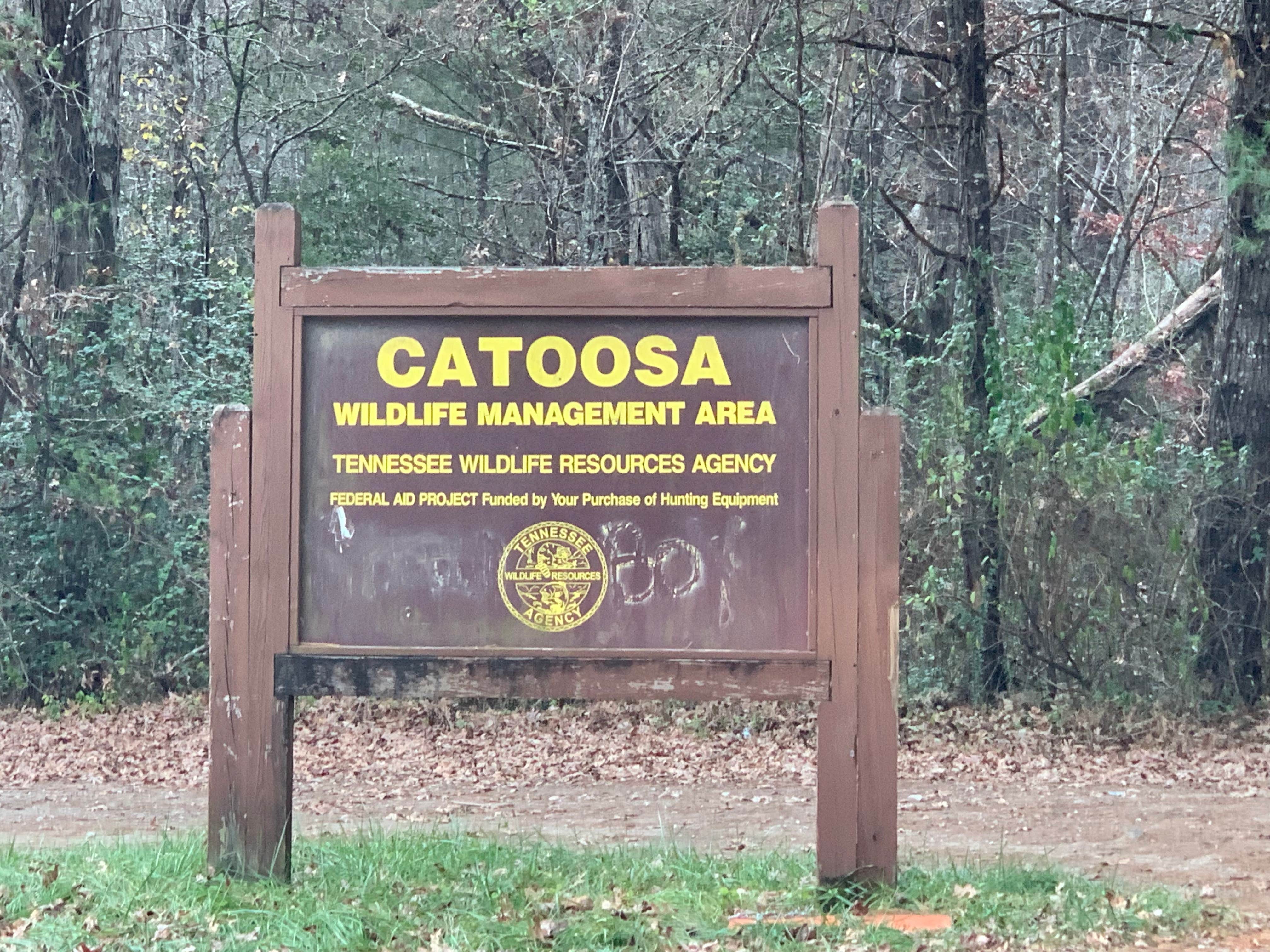 catoosa wma hog hunting