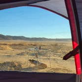 Review photo of Joshua Tree Lake Dispersed Camping by Dana W., November 29, 2021