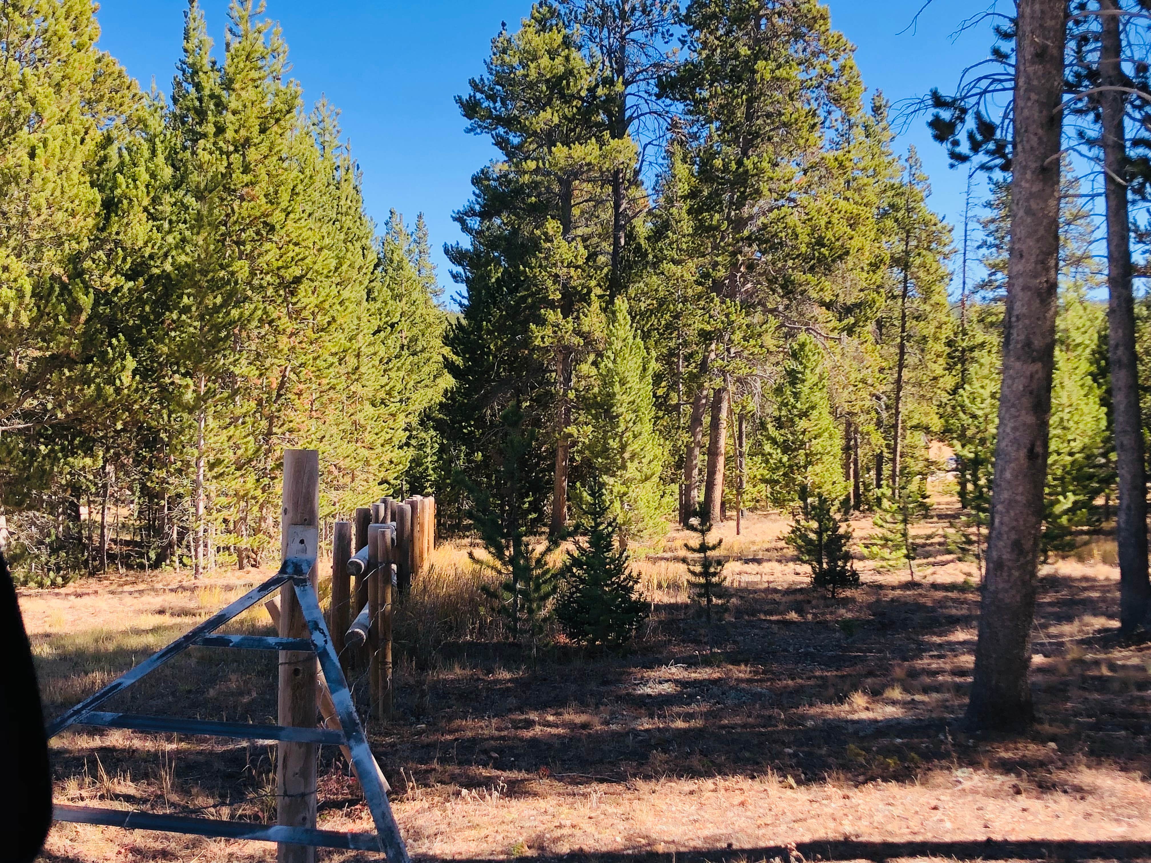 Camper-submitted photo at Dead Swede near Shell, WY