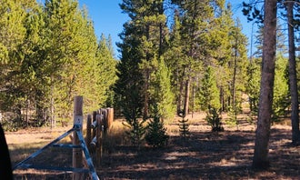 Camping near Bear Lodge Resort: Dead Swede, Wolf, Wyoming