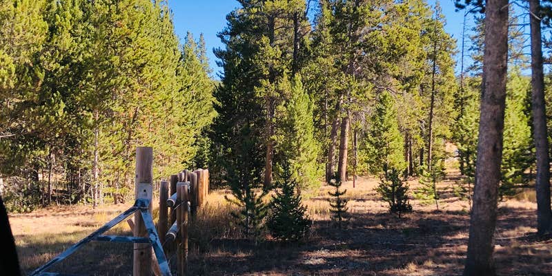 Camper submitted image from Dead Swede