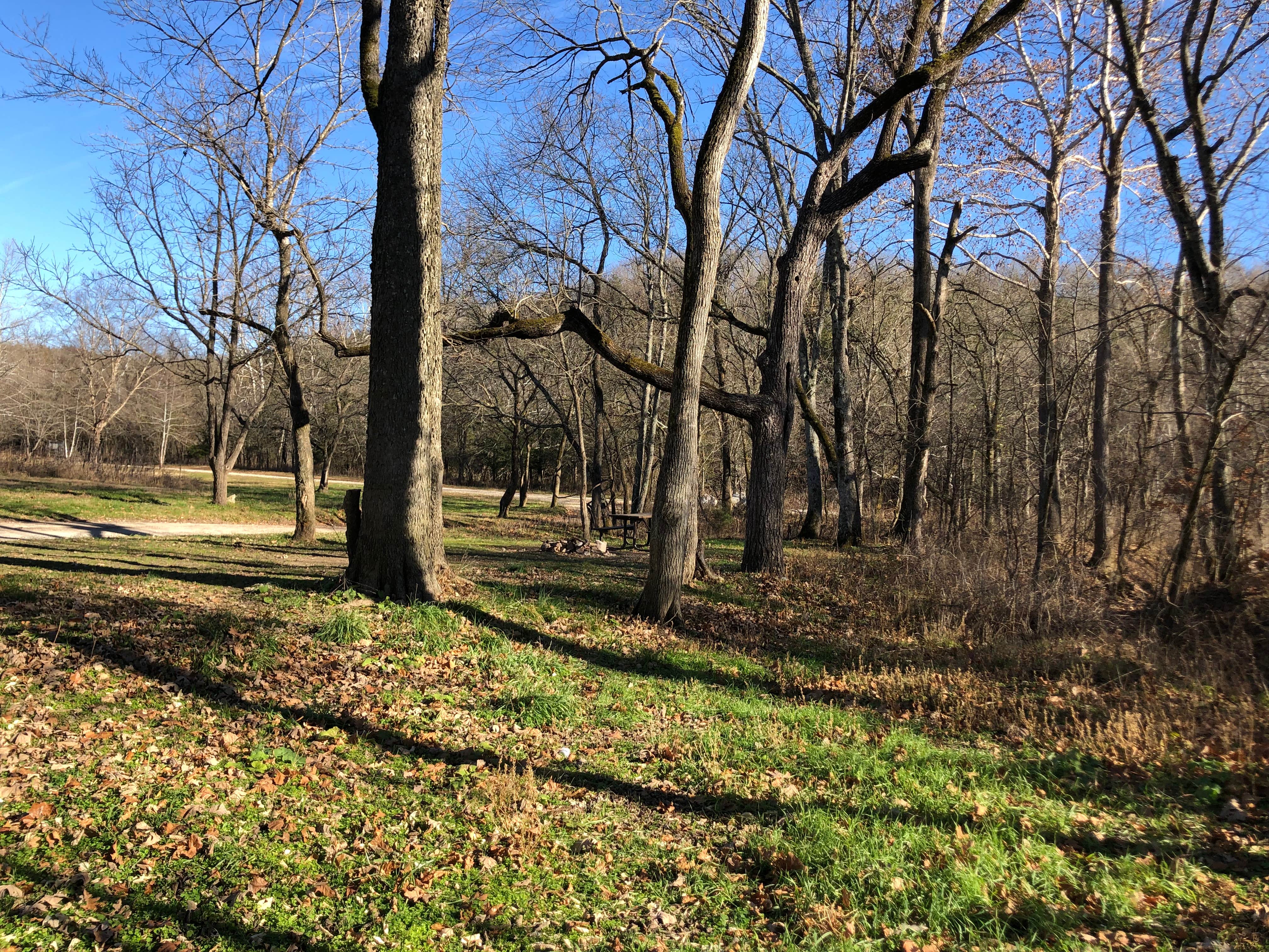 Camper-submitted photo at Bar K Wrangler Camp near Rockaway Beach, MO