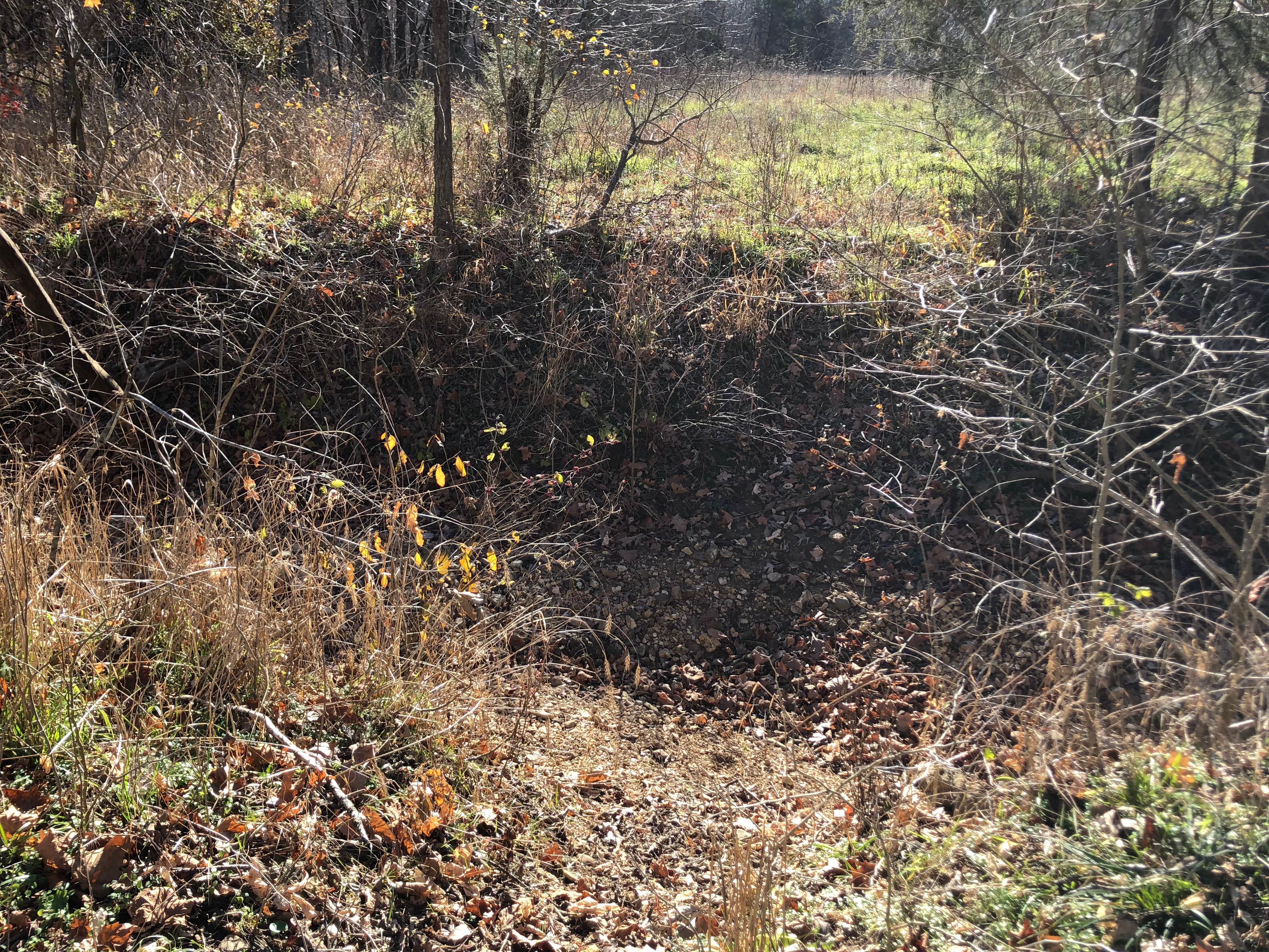 Camper-submitted photo at Bar K Wrangler Camp near Rockaway Beach, MO