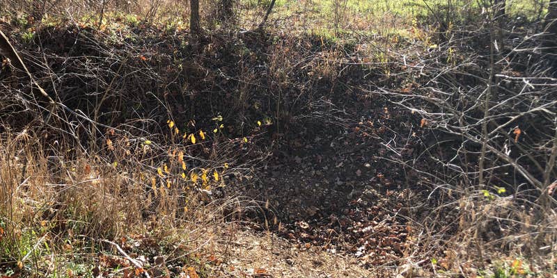 Camper submitted image from Bar K Wrangler Camp