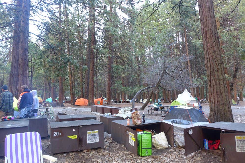 phillip L.'s photo at Camp 4 — Yosemite National Park near El Portal, CA