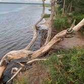 Review photo of Crooked River State Park Campground by Latika Y., November 30, 2021