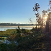 Review photo of Percy Quin State Park by Tanya R., November 29, 2021