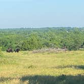 Review photo of Buckhorn Campground Loop C — Chickasaw National Recreation Area by Dave V., November 30, 2021