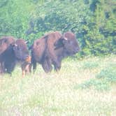 Review photo of Buckhorn Campground Loop C — Chickasaw National Recreation Area by Dave V., November 30, 2021