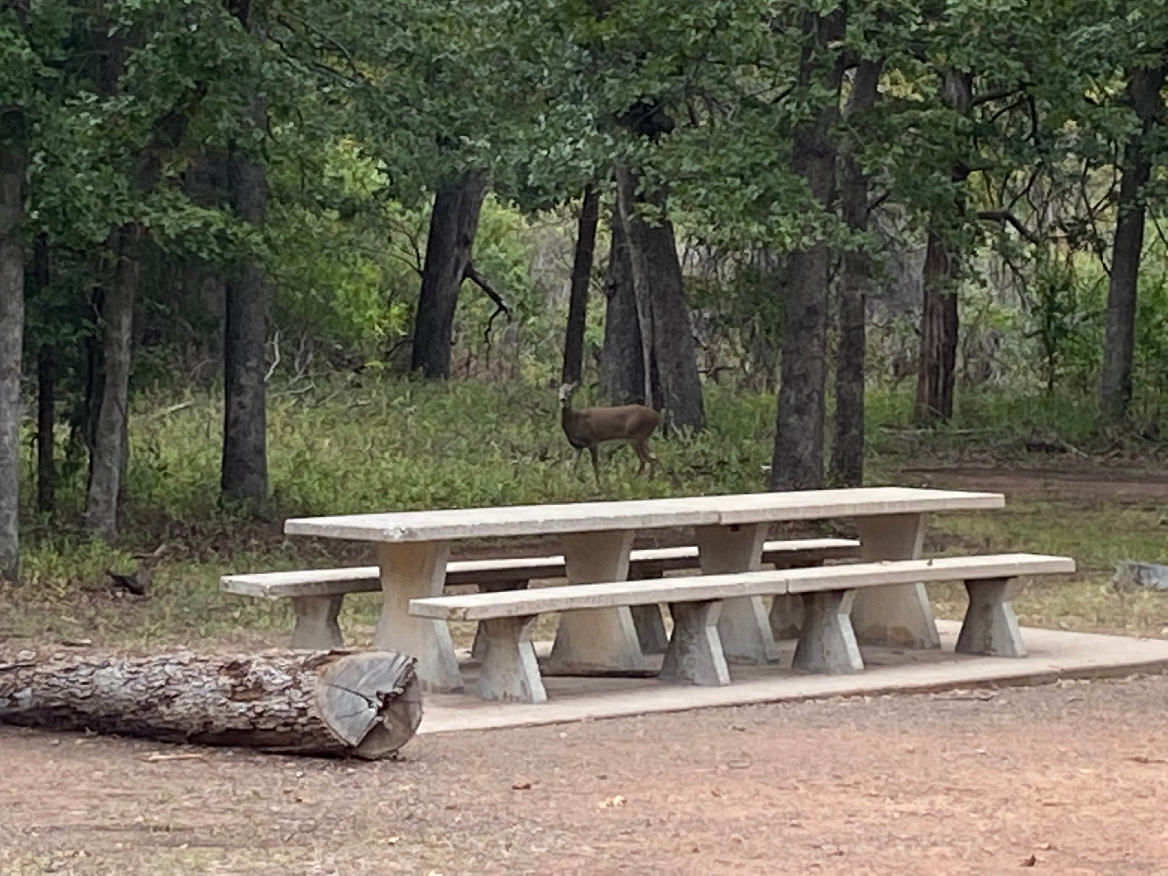 Camper submitted image from Doris Campground - 4