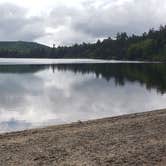 Review photo of Johnston Pond in KIJO Mary Forest by Jean C., November 1, 2021