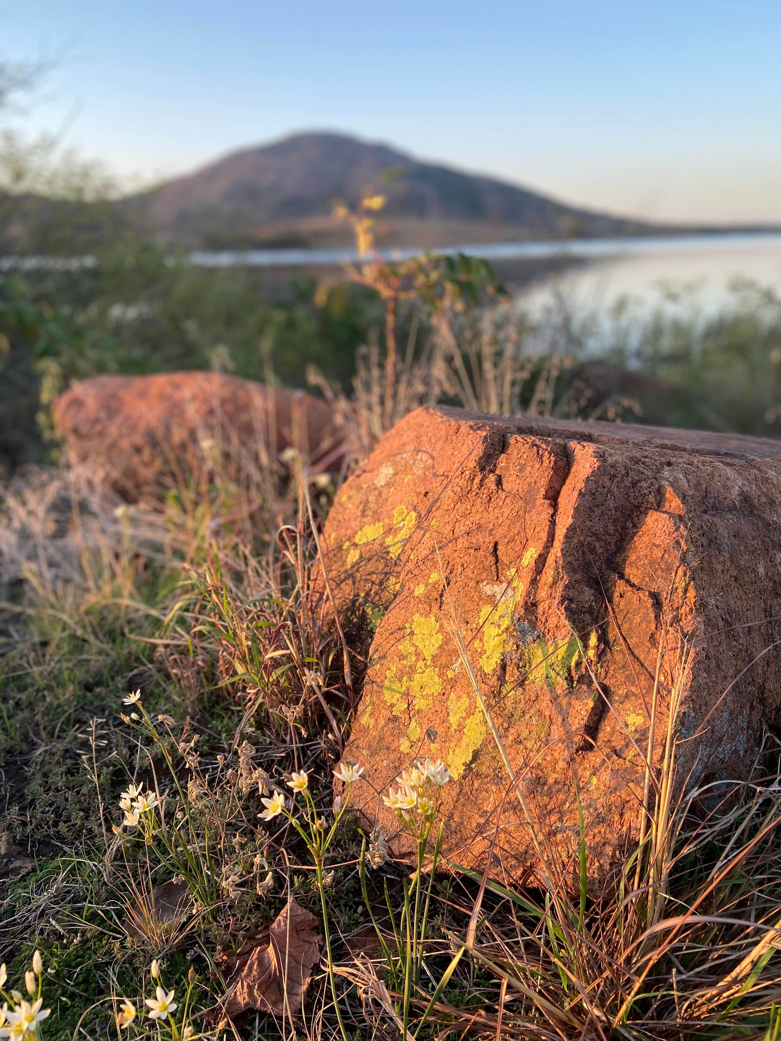 Camper-submitted photo at Lake Elmer Thomas Recreation Area near Altus, OK