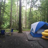 Review photo of Davidson River Campground by Jenny S., July 24, 2016