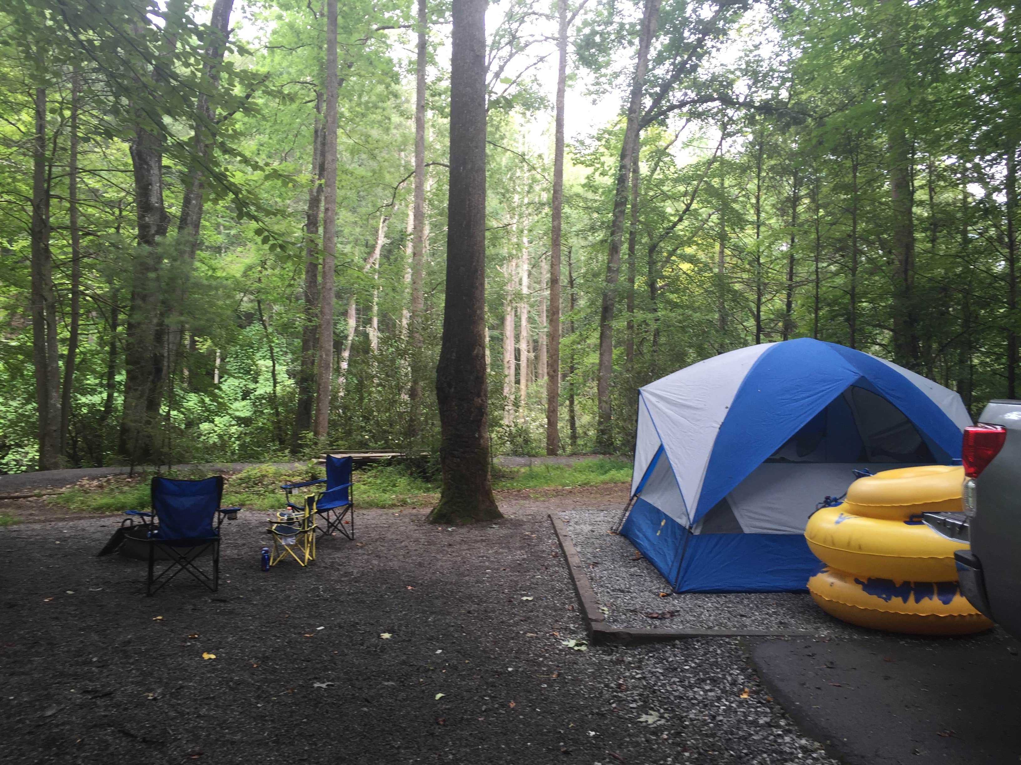 Camper submitted image from Davidson River Campground - 2
