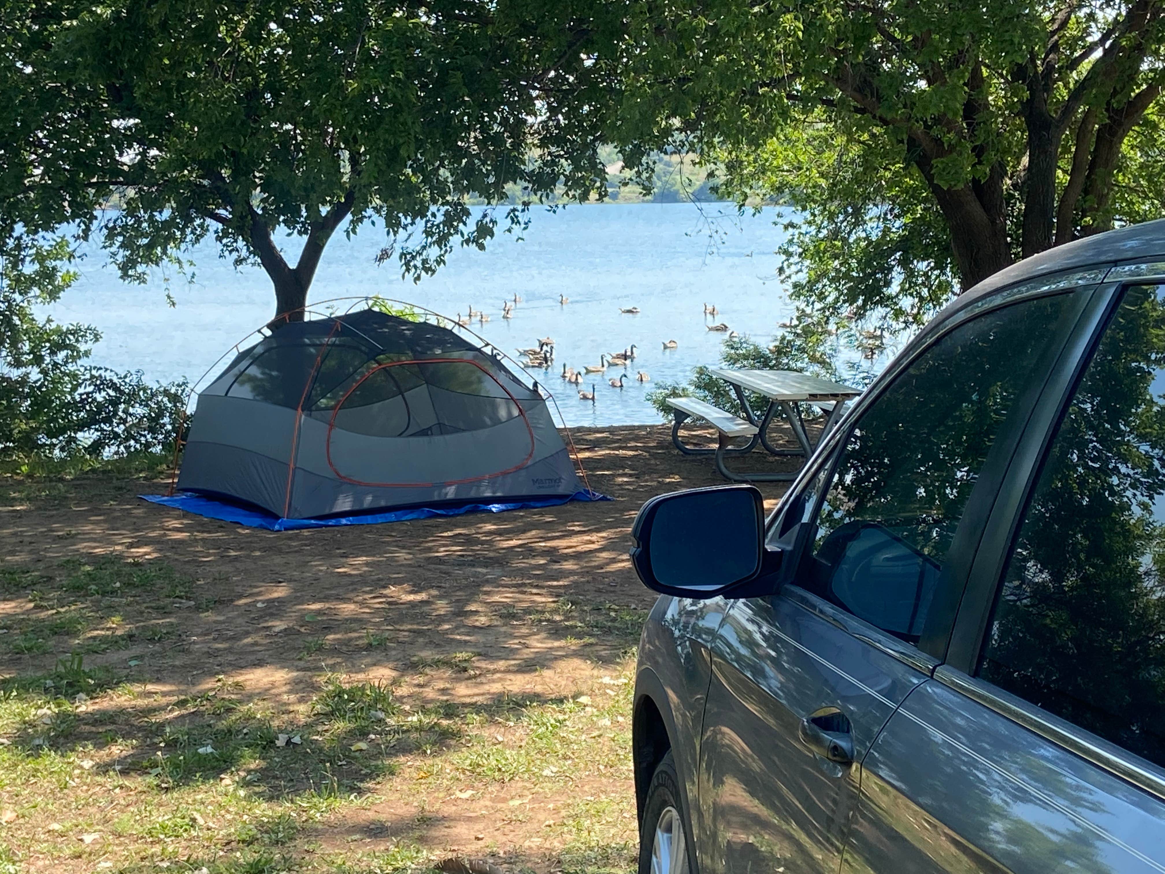 Camper submitted image from Military Park Fort Sill Lake Elmer Thomas Recreation Area - 4