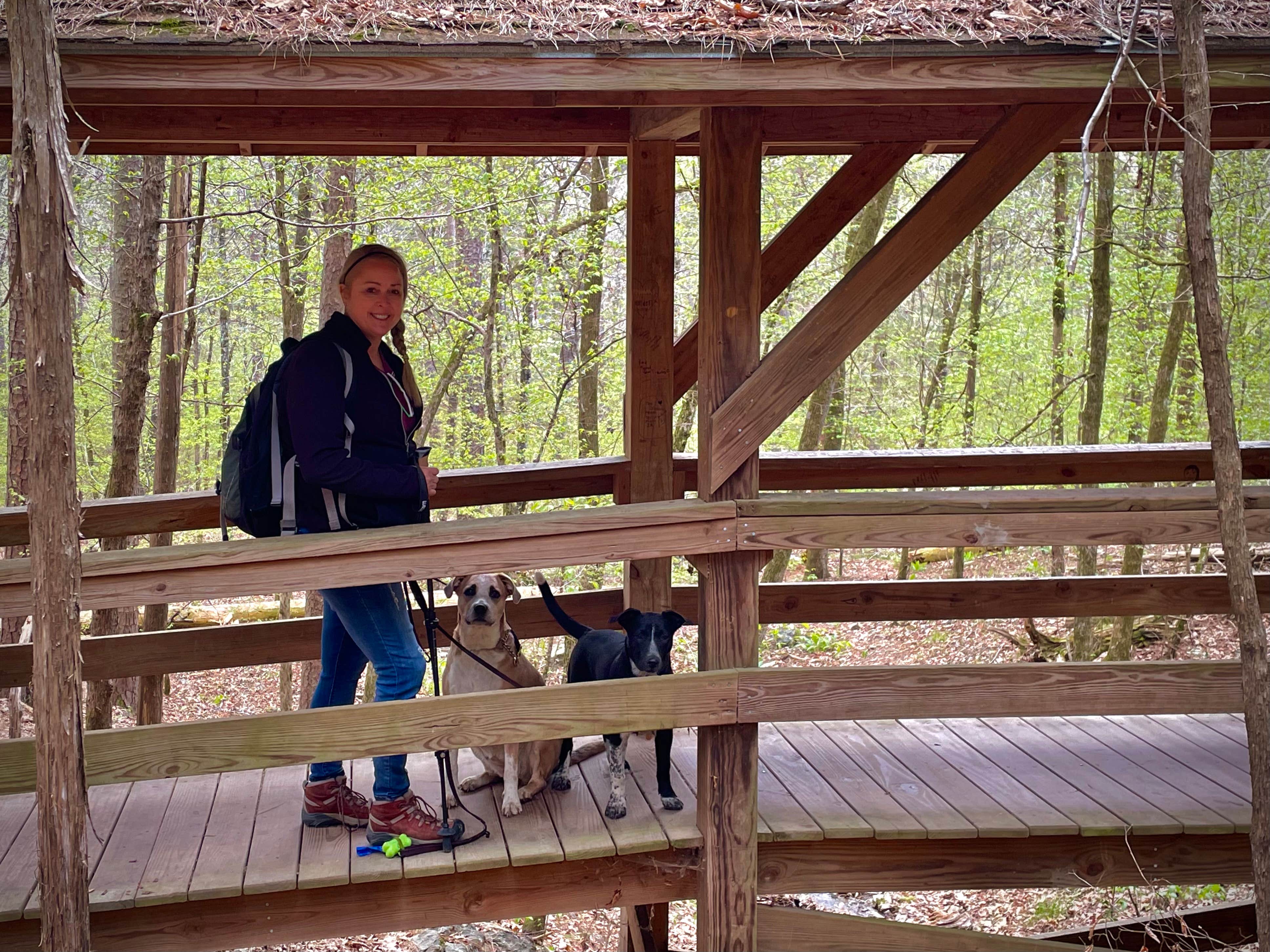 Jeff S.'s photo of camping with pets at Beavers Bend State Park Campground near New Boston, TX