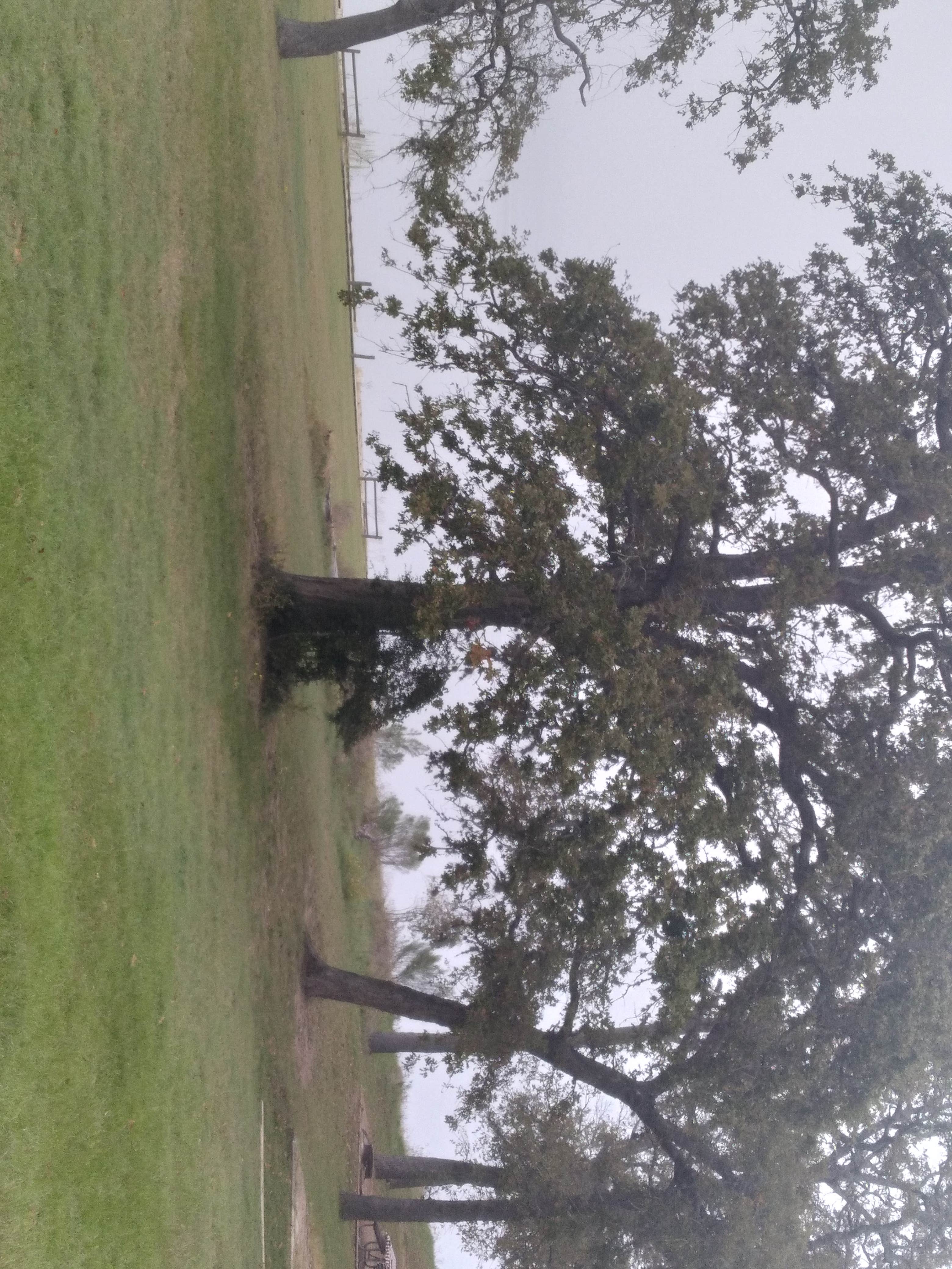 Camper-submitted photo at Yegua Creek Campground near Brenham, TX