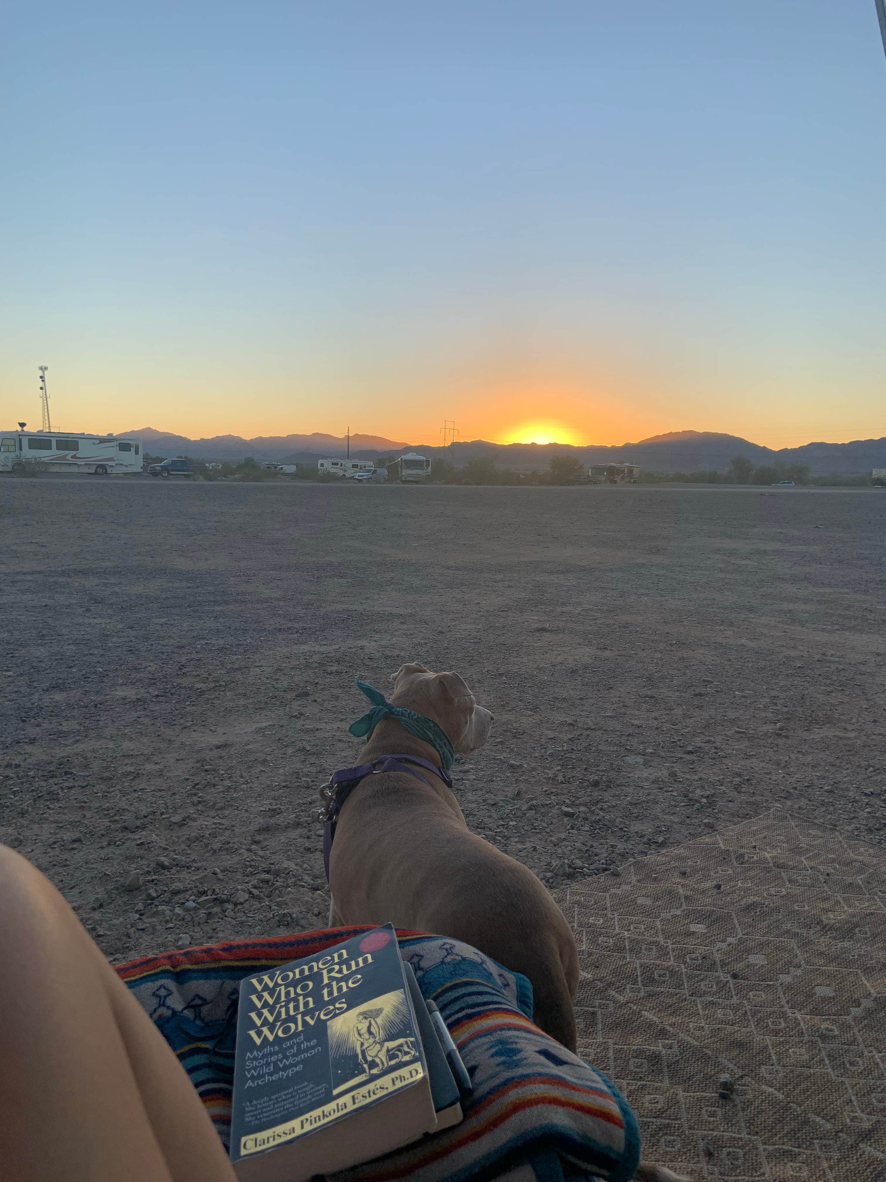 Molley T.'s photo of a dispersed camping area at Hi Jolly BLM Dispersed Camping Area near Parker, AZ