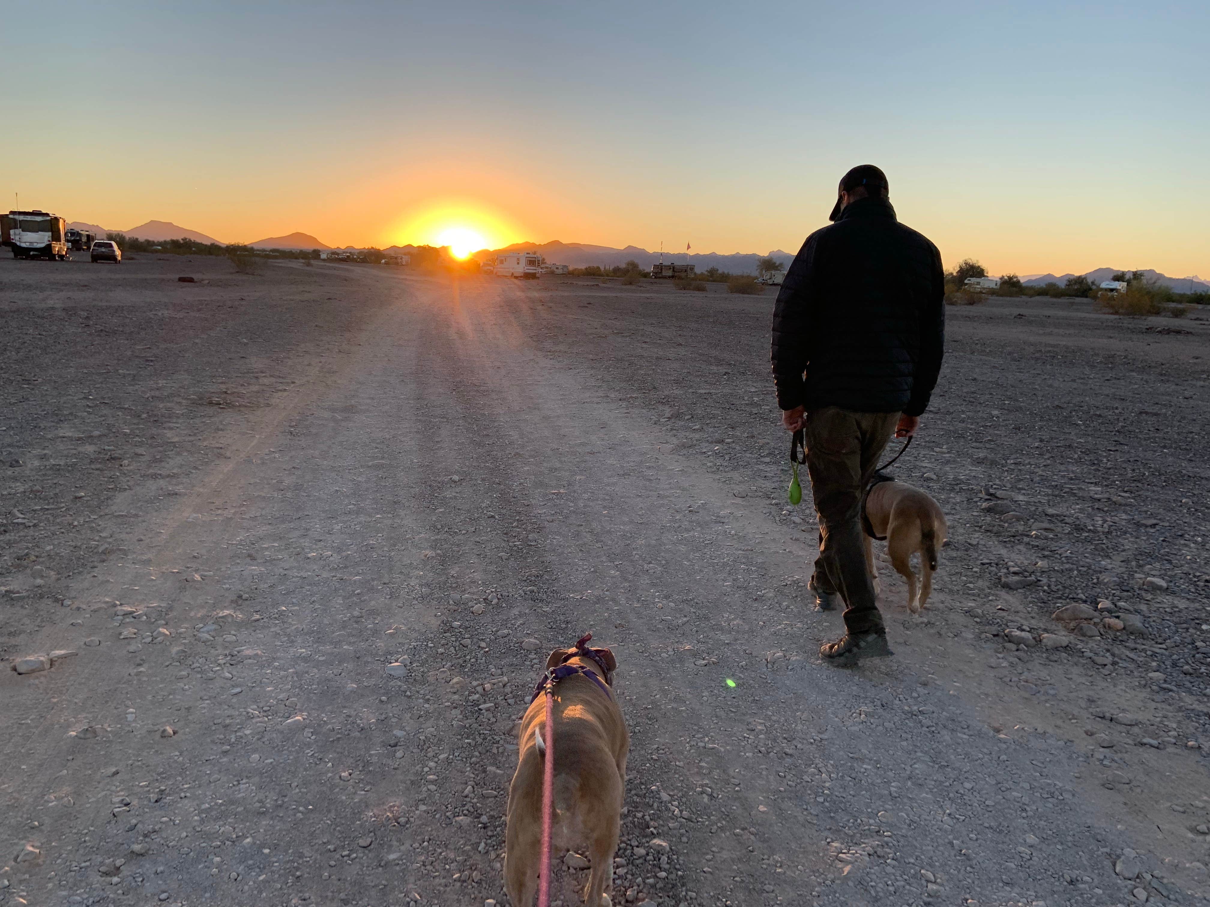 Molley T.'s photo of camping with pets at Hi Jolly BLM Dispersed Camping Area near Quartzsite, AZ