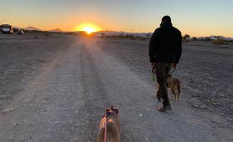 Molley T.'s photo of camping with pets at Hi Jolly BLM Dispersed Camping Area near Parker Dam, CA