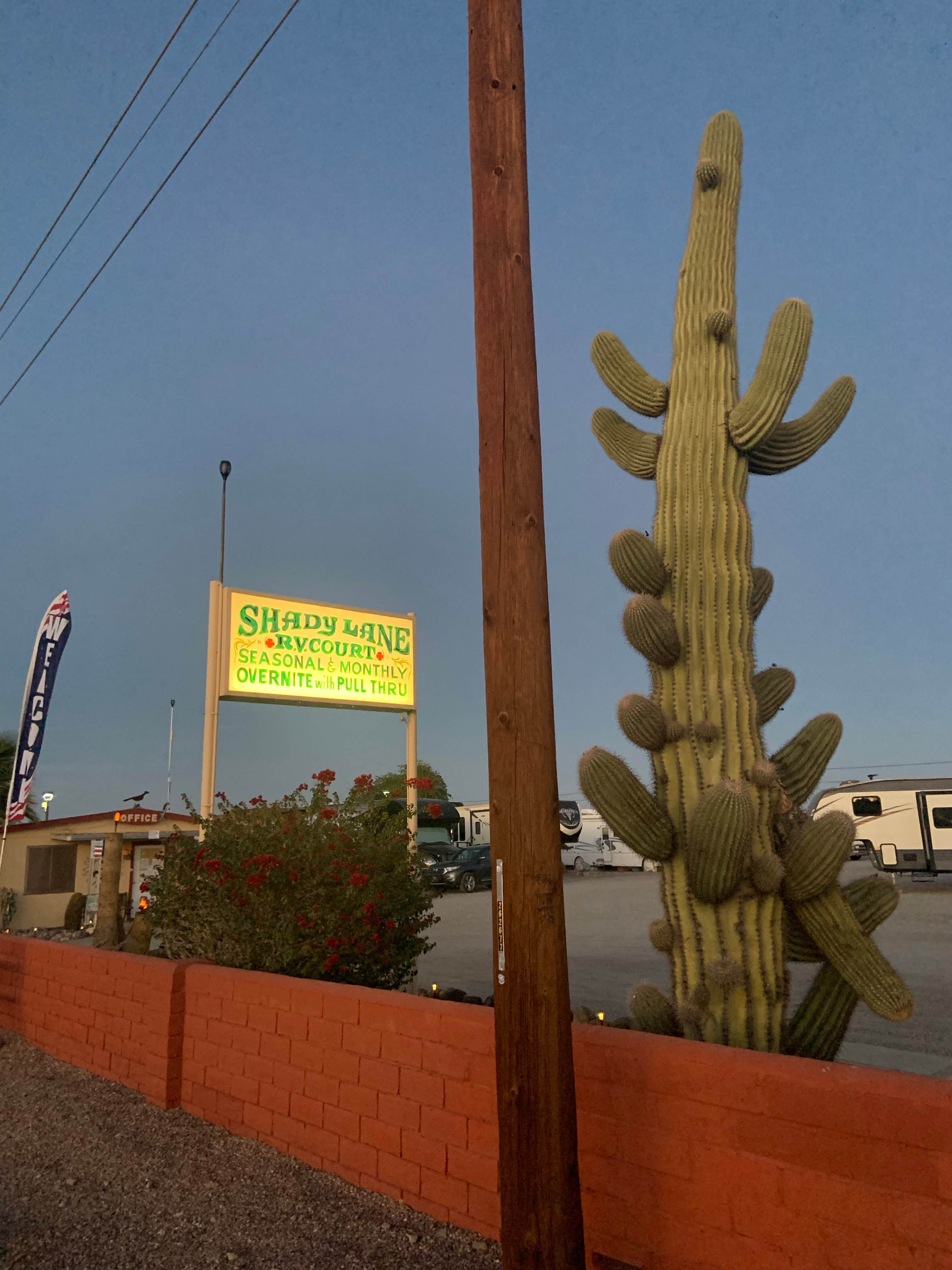 Camper-submitted photo at Shady Lane RV Park near Quartzsite, AZ