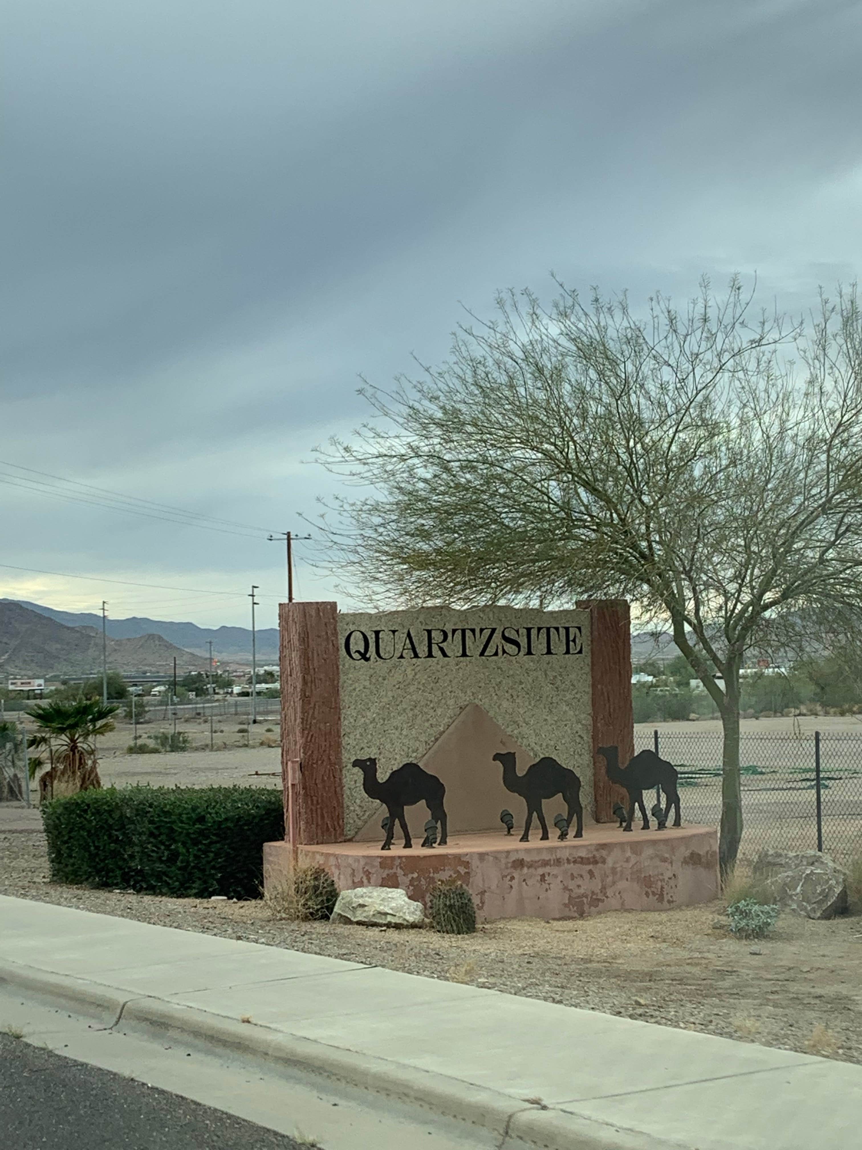Camper-submitted photo at Shady Lane RV Park near Quartzsite, AZ