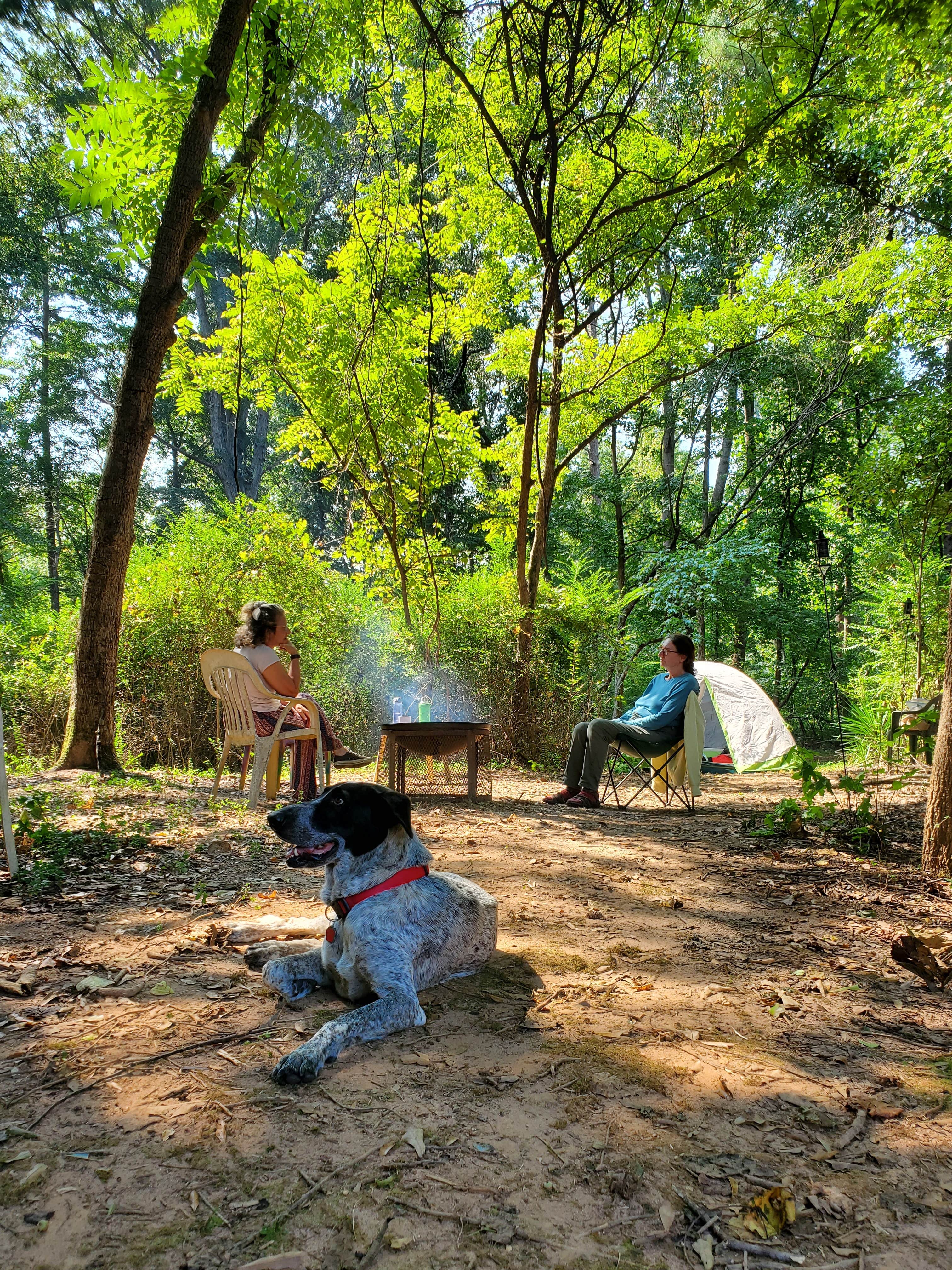 Camper-submitted photo at Hippie Holler near Rock Hill, SC
