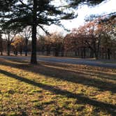 Review photo of Sequoyah Bay Marina and Cabins — Sequoyah Bay State Park by Adams , November 30, 2021