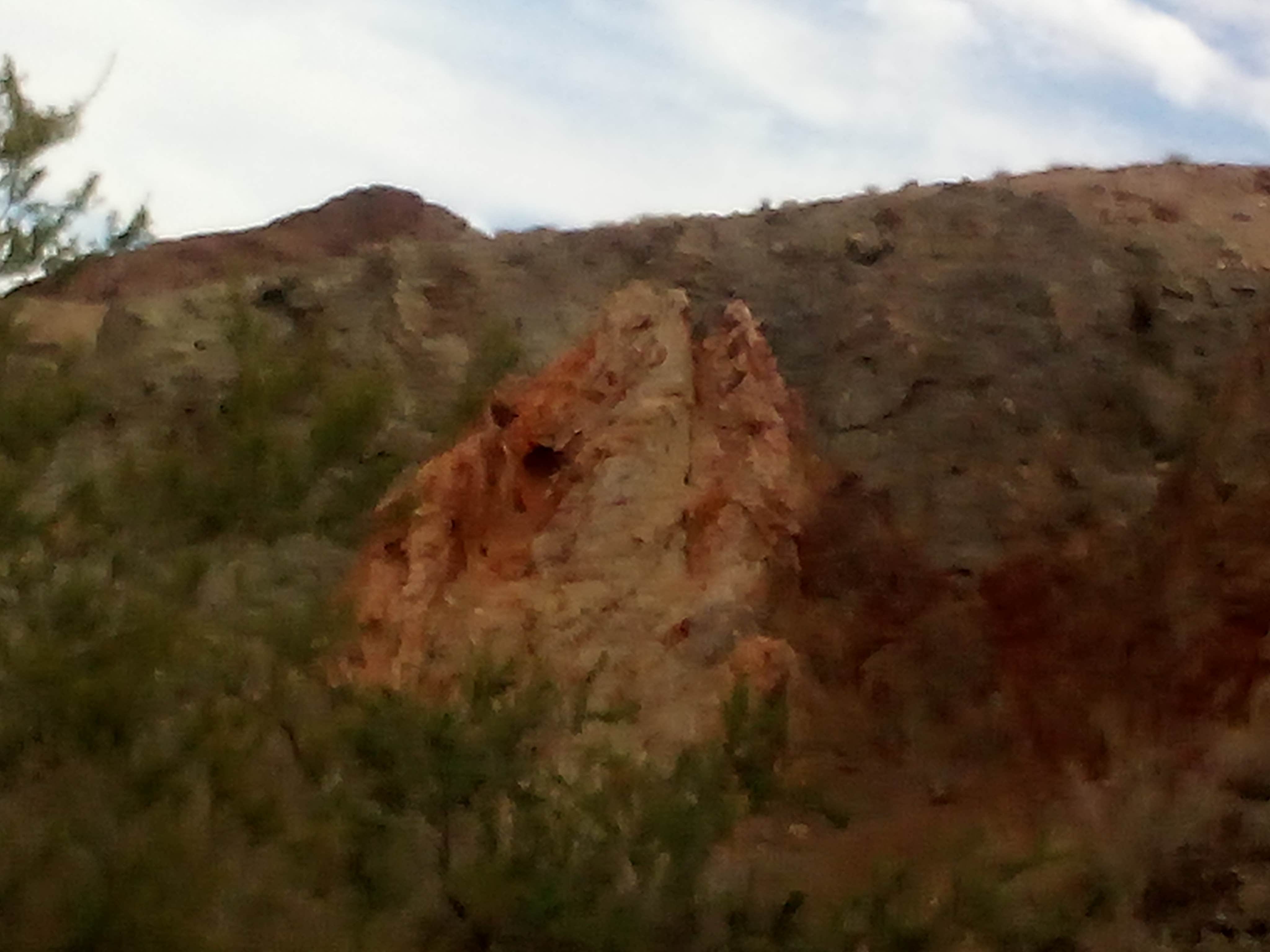 Camper-submitted photo at Slab City near Niland, CA