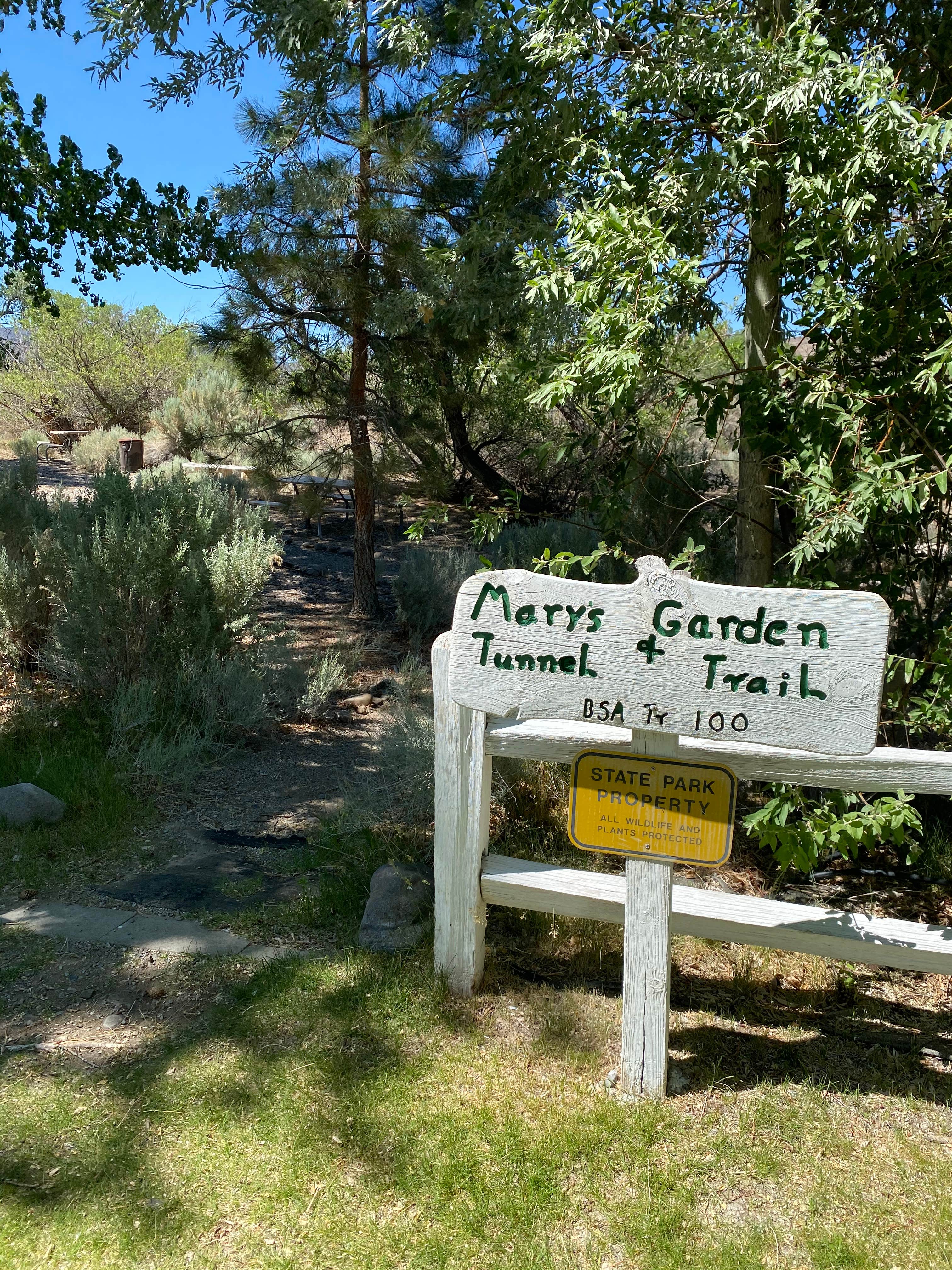 Camper-submitted photo at Dayton State Park Campground near Virginia City, NV