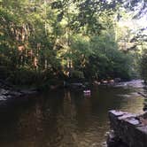 Review photo of Davidson River Campground by Jenny S., July 24, 2016