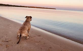Sean N.'s photo of camping with pets at Wilderness State Park Camping near Mackinaw City, MI