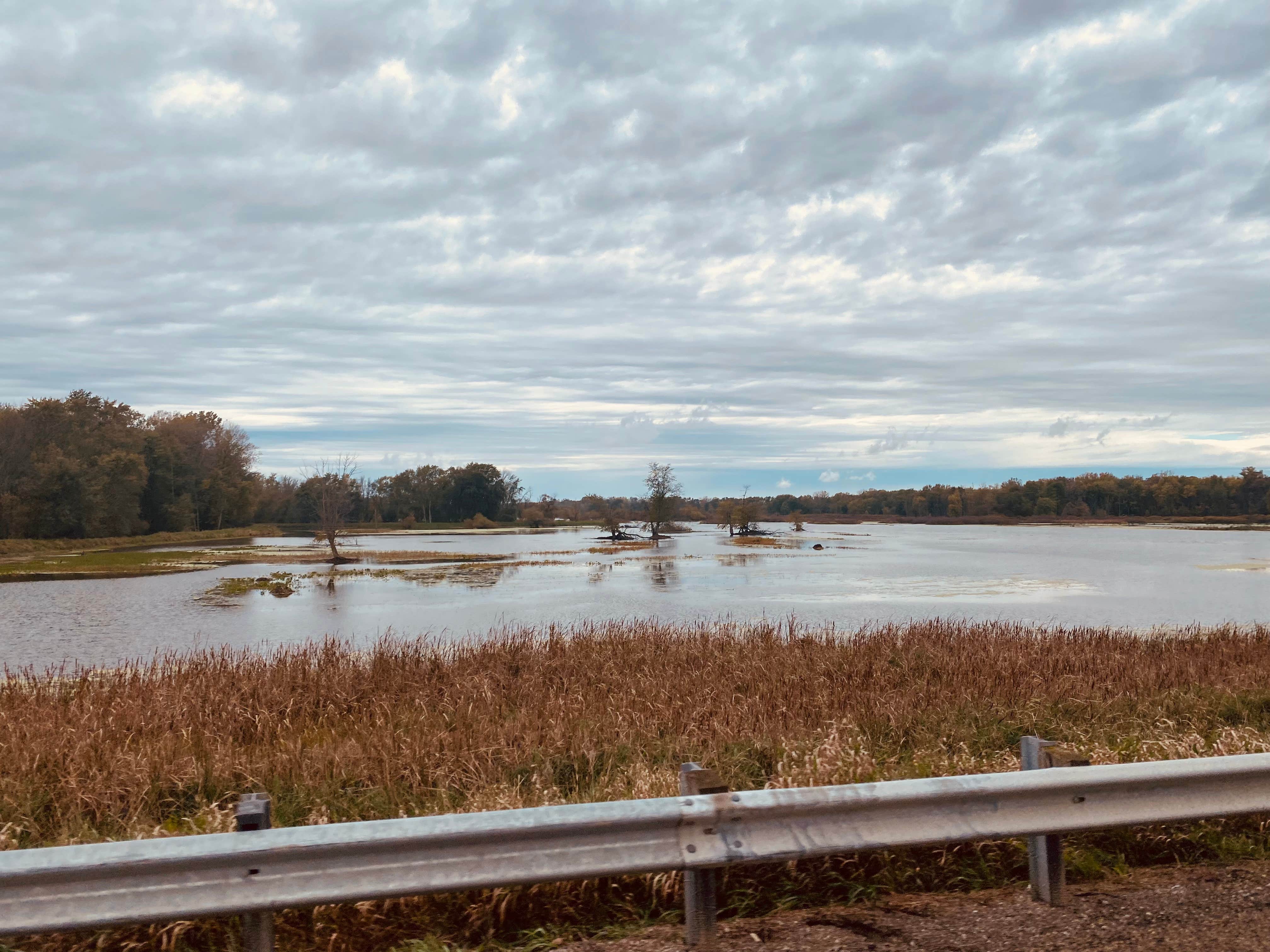 Camper-submitted photo at Holiday RV Campground near Dearborn Heights, MI