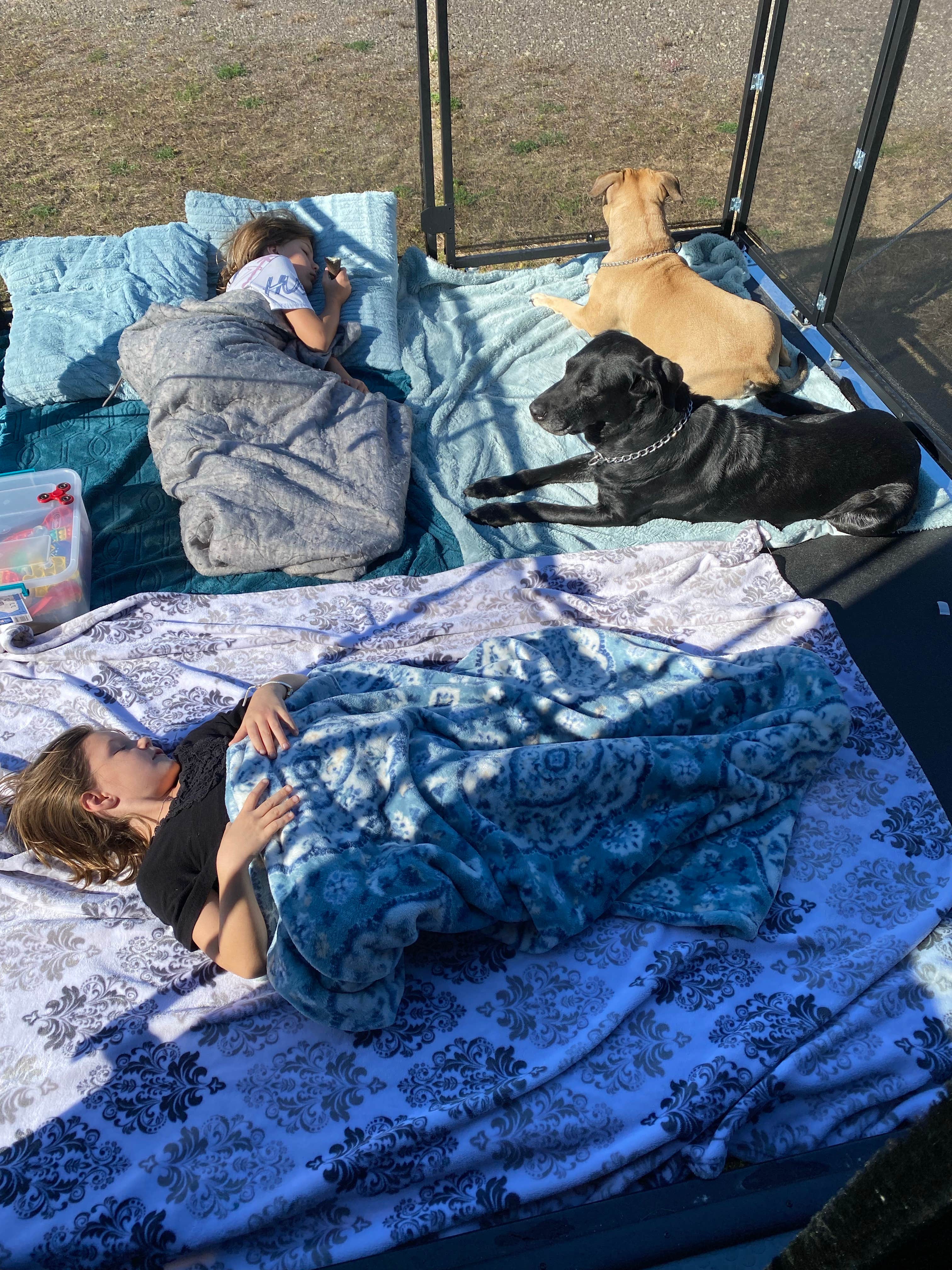 Camper-submitted photo at Holiday RV Campground near Dearborn Heights, MI