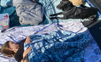 Sean N.'s photo of camping with pets at Holiday RV Campground near Okemos, MI