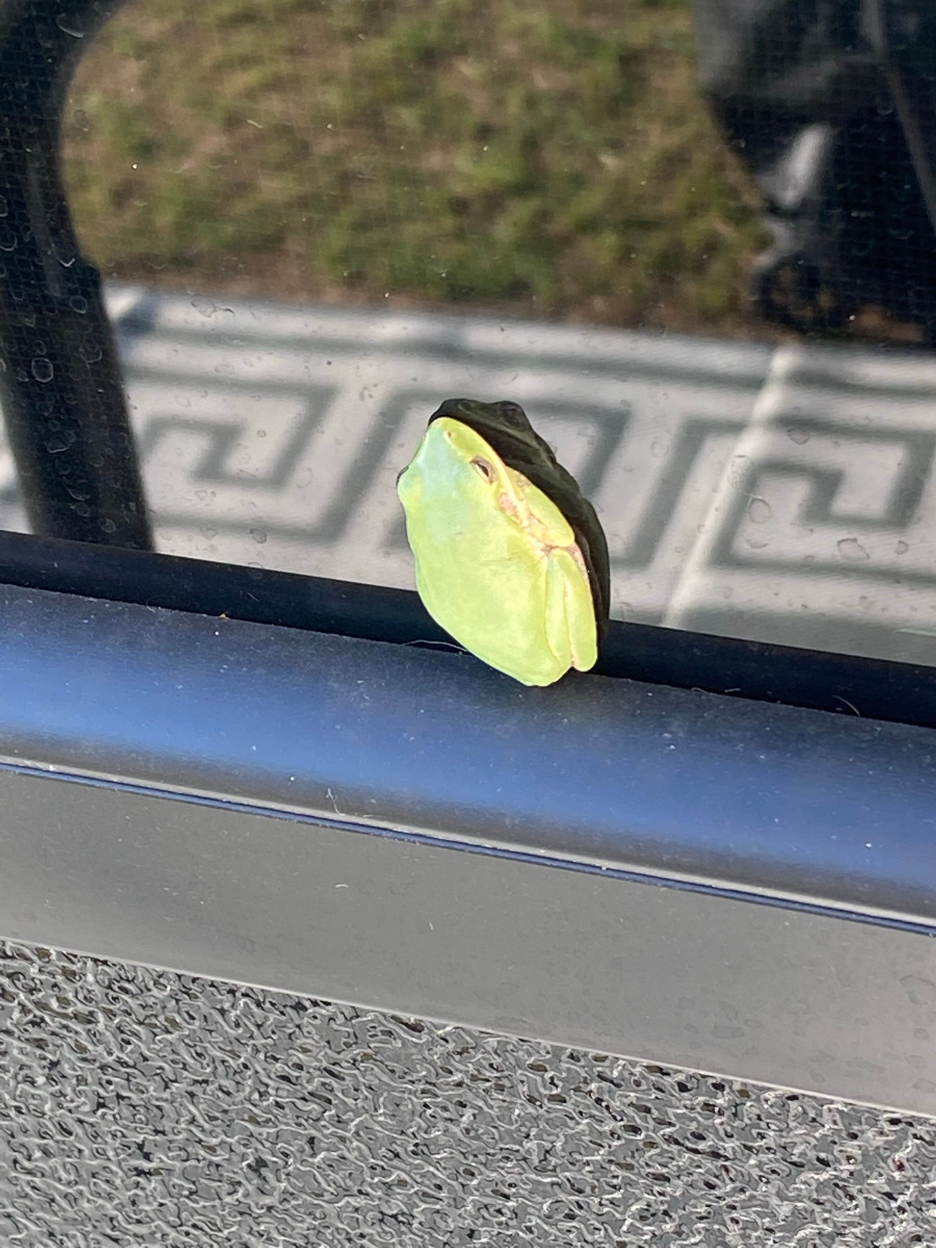 Camper-submitted photo at Holiday RV Campground near Pleasant Lake, MI