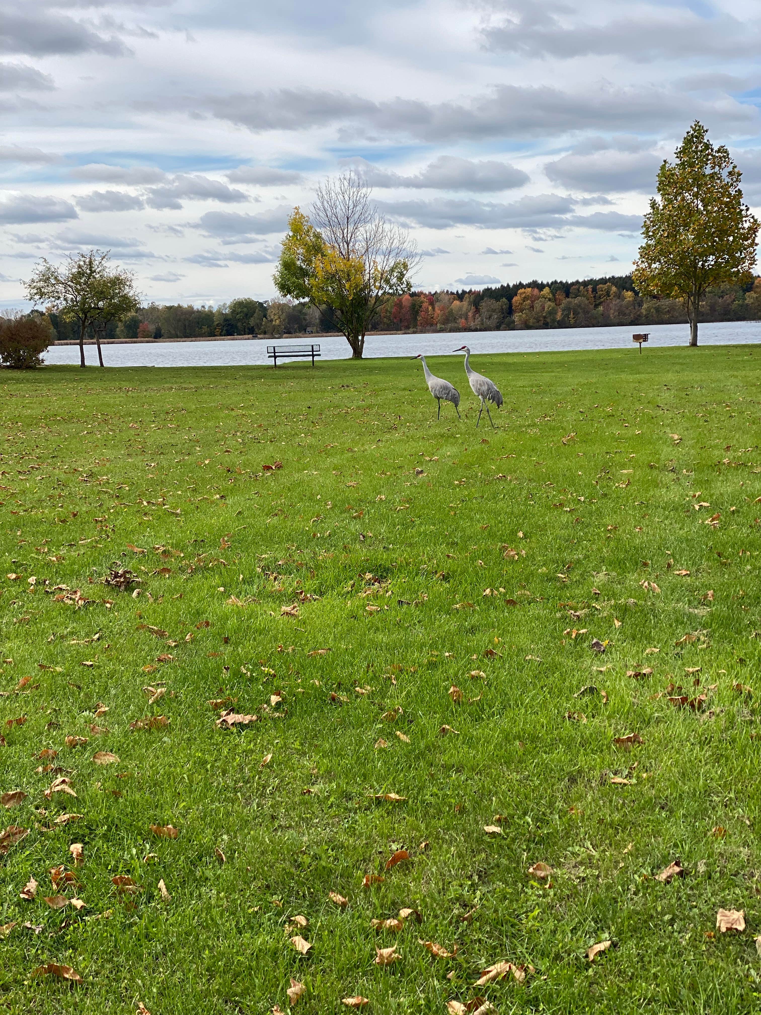 Camper-submitted photo at Holiday RV Campground near Dearborn Heights, MI