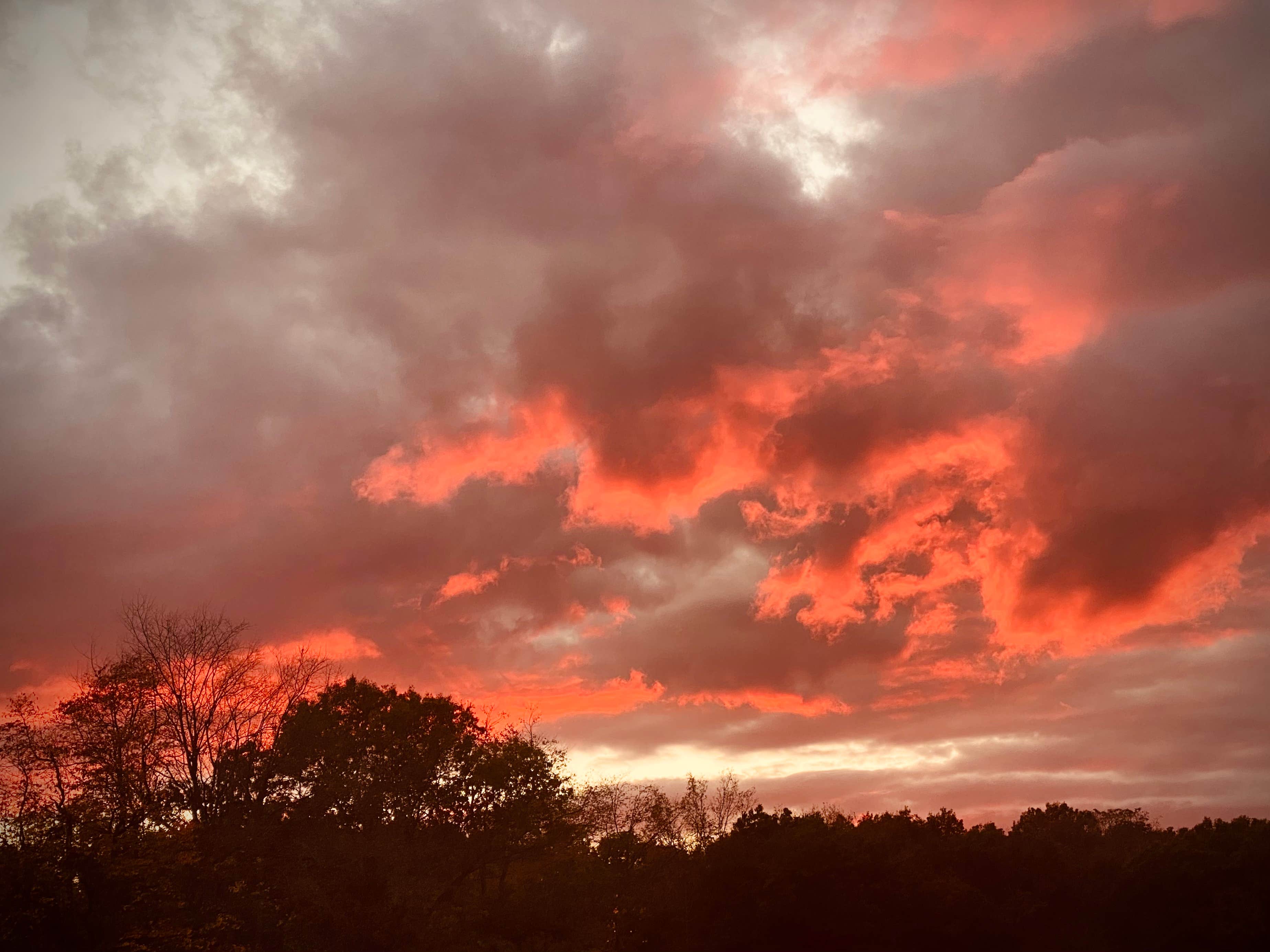 Camper-submitted photo at Holiday RV Campground near Dearborn Heights, MI