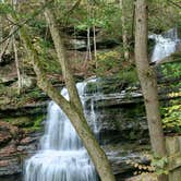 Review photo of Leonard Harrison State Park — Leonard Harrison State Park by Lee D., December 1, 2021