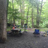 Review photo of Davidson River Campground by Jenny S., July 24, 2016