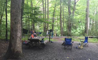 Jenny S.'s photo at Davidson River Campground near Pisgah Forest, NC
