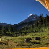 Review photo of McNeil Point Dispersed Camping by Stephanie Z., December 1, 2021