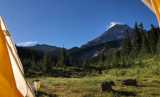 Stephanie Z.'s photo of a dispersed camping area at McNeil Point Dispersed Camping in Oregon