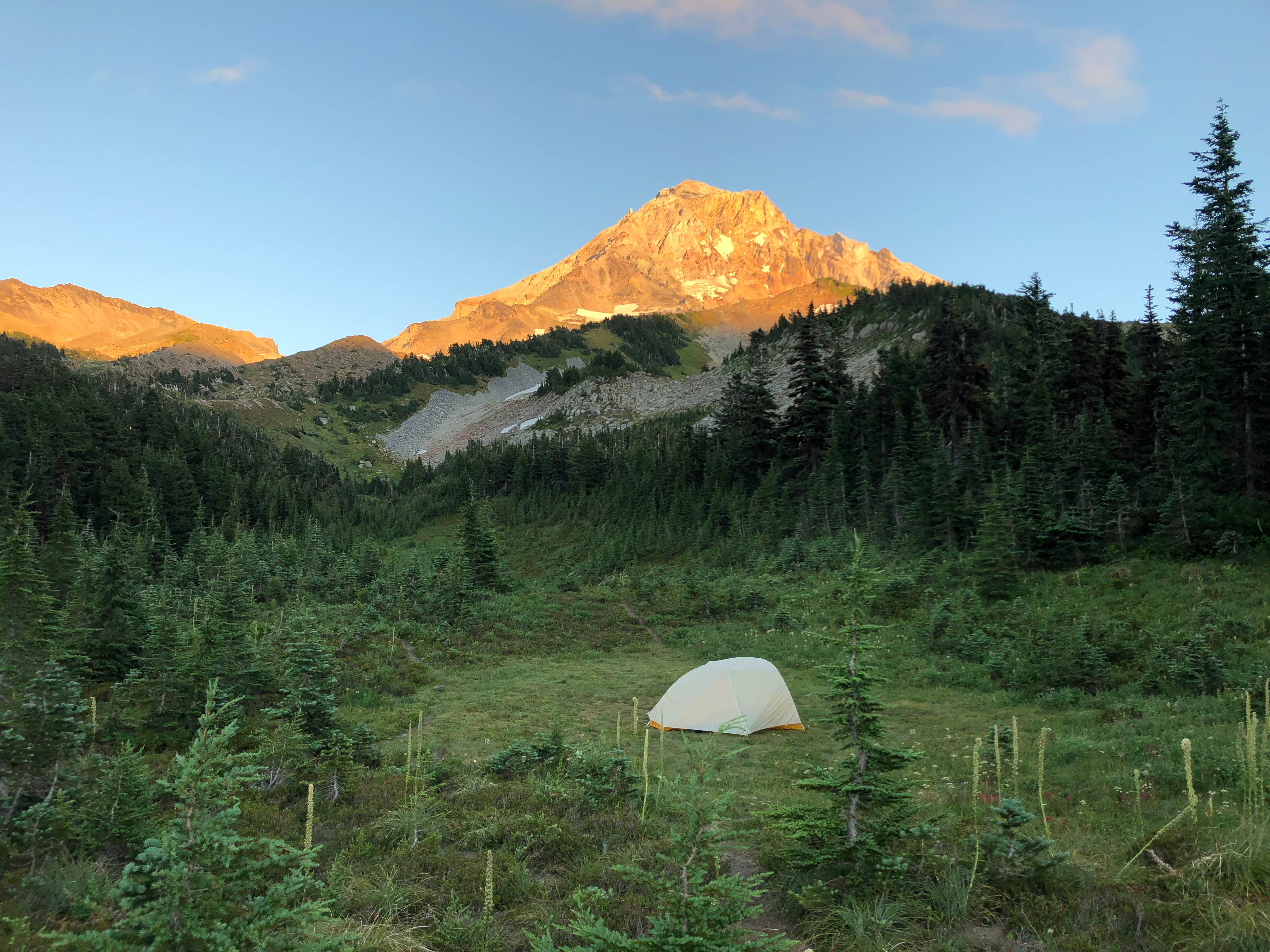 Camper-submitted photo at McNeil Point Dispersed Camping near Multnomah Falls, OR