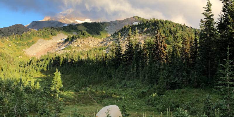 Camper submitted image from McNeil Point Dispersed Camping