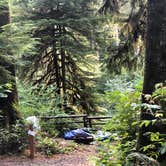 Review photo of Clatsop State Forest Gnat Creek Campground by Stephanie Z., December 1, 2021