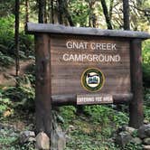 Review photo of Clatsop State Forest Gnat Creek Campground by Stephanie Z., December 1, 2021