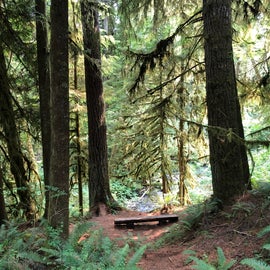 resting spot on the trail